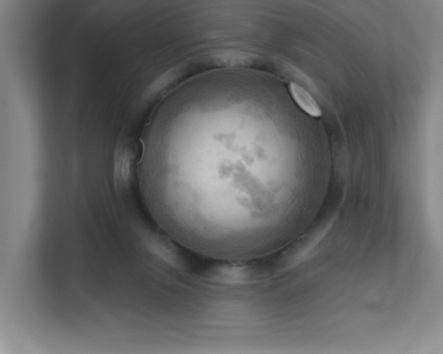 X0000111360071200907101239