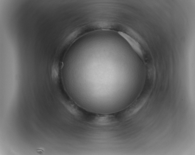 X0000111360072200907101239