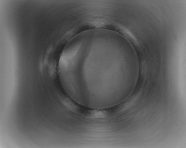 X0000111360073200907101239