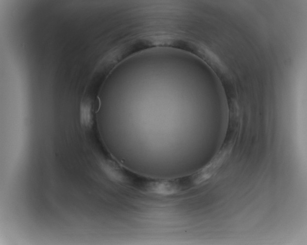 X0000111360074200907101239