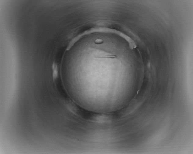 X0000111360075200907101239