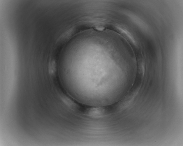 X0000111360077200907101239
