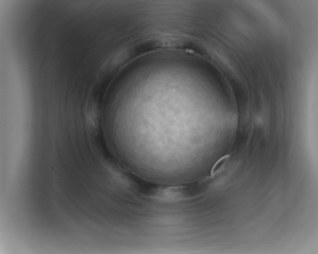 X0000111360078200907101239