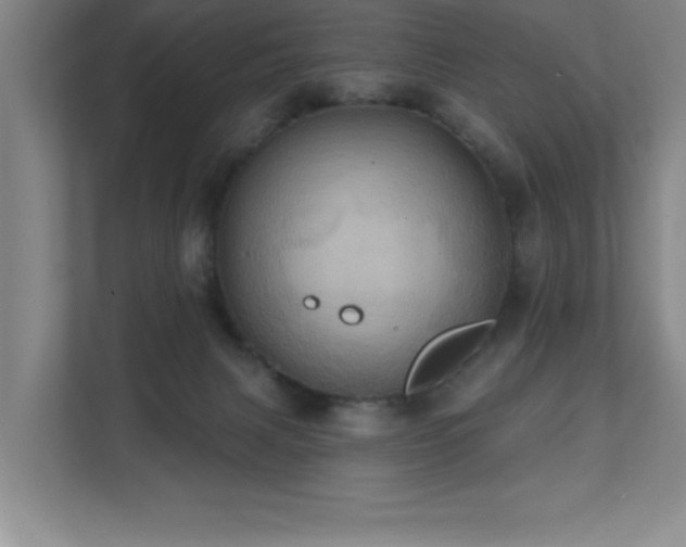 X0000111360079200907101239