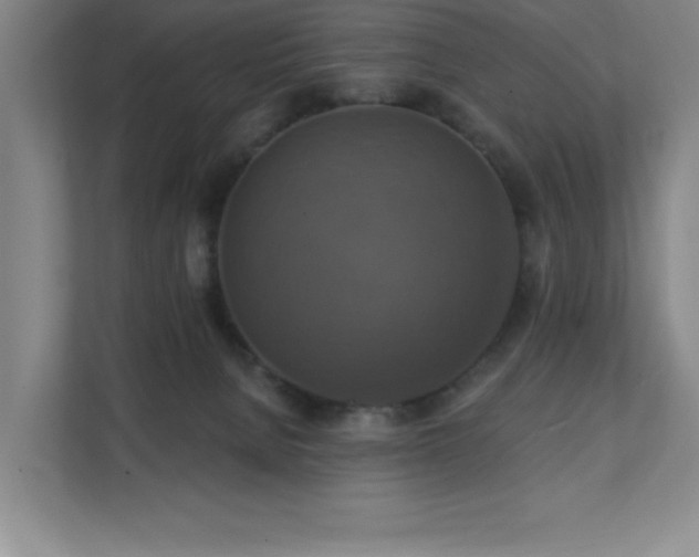 X0000111360080200907101239