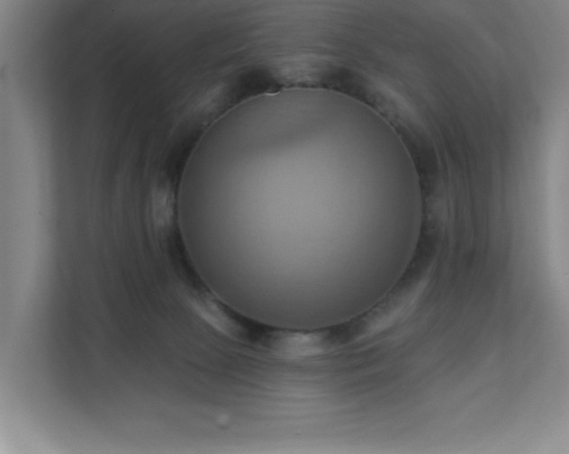 X0000111360081200907101239