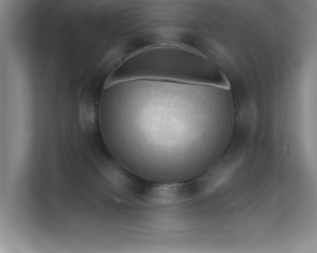 X0000111360084200907101239