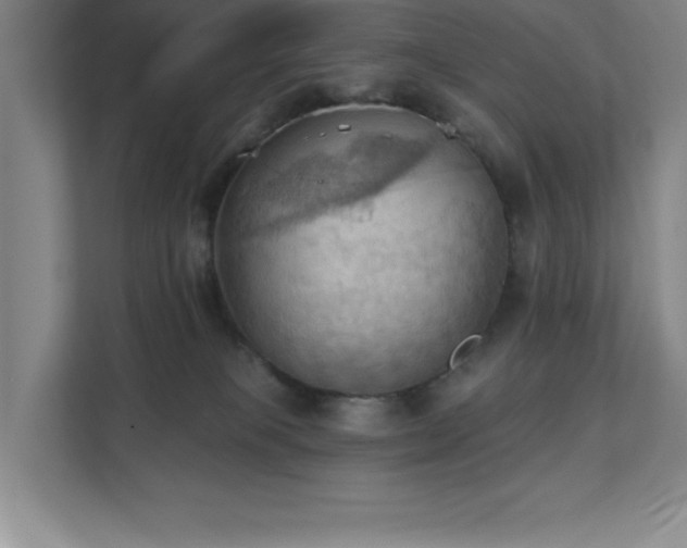X0000111360085200907101239