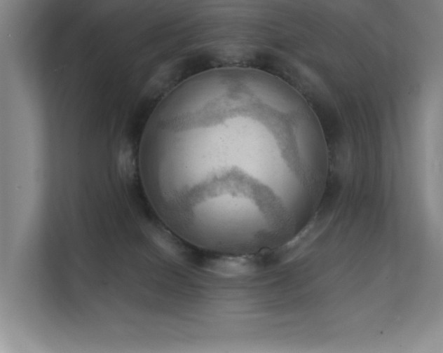 X0000111360086200907101239