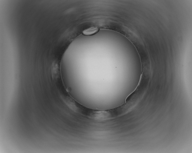 X0000111360087200907101239