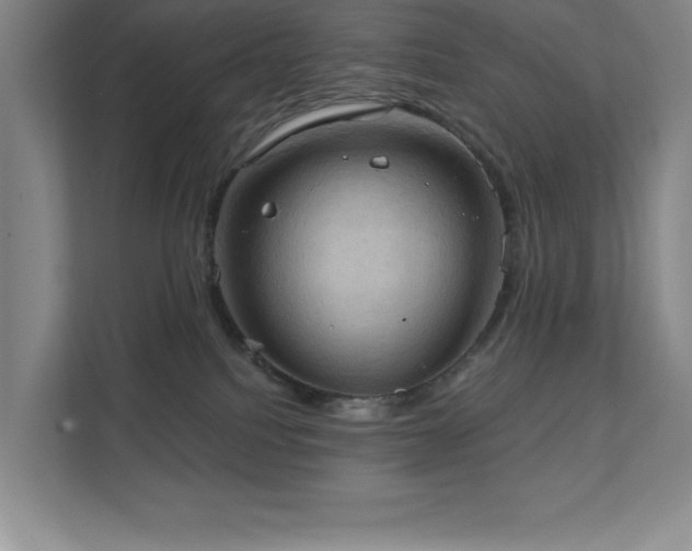 X0000111360088200907101239