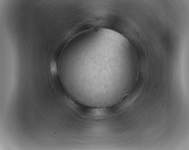 X0000111360089200907101239