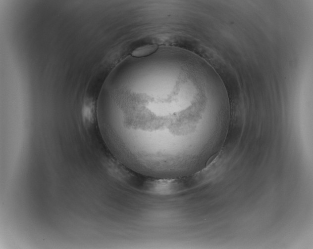 X0000111360090200907101239