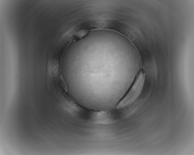 X0000111360092200907101239