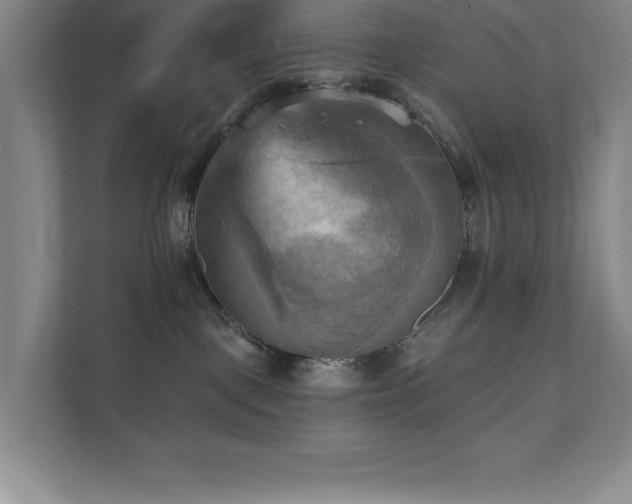 X0000111360093200907101239