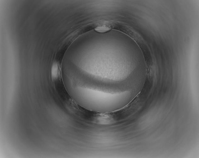 X0000111360095200907101239