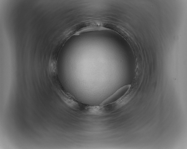 X0000111360096200907101239