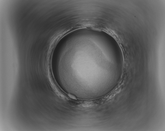 X0000111360097200907101239