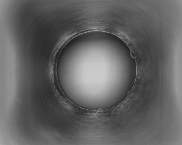 X0000111360098200907101239