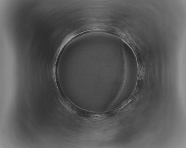 X0000111360099200907101239