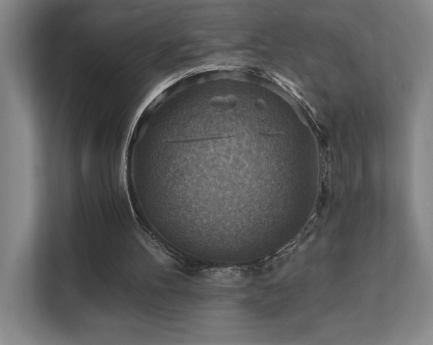 X0000111360100200907101239