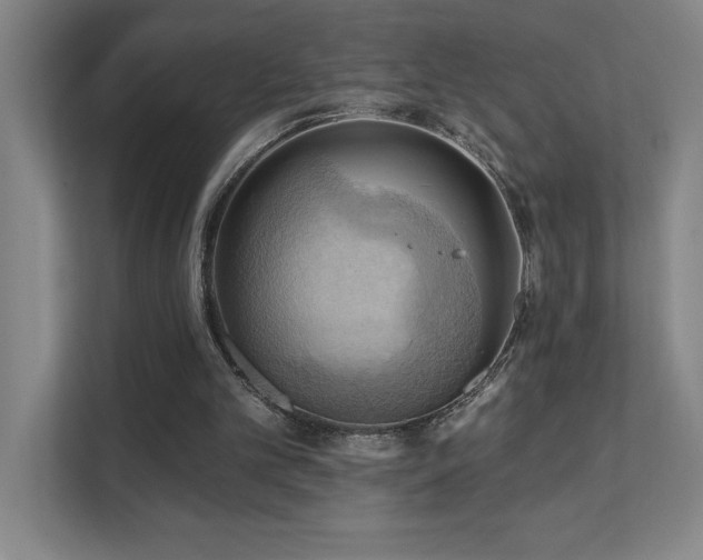 X0000111360101200907101239