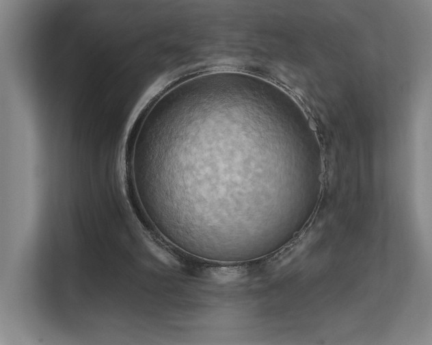 X0000111360102200907101238