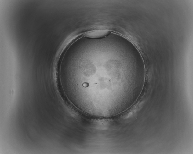 X0000111360103200907101238