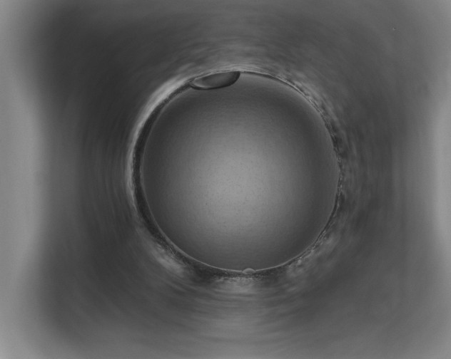 X0000111360104200907101238