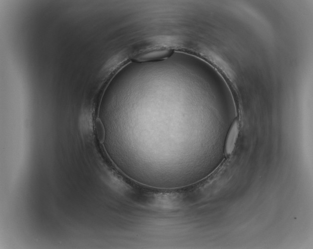 X0000111360105200907101238
