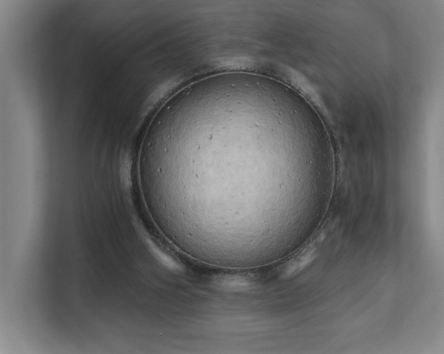 X0000111360106200907101238