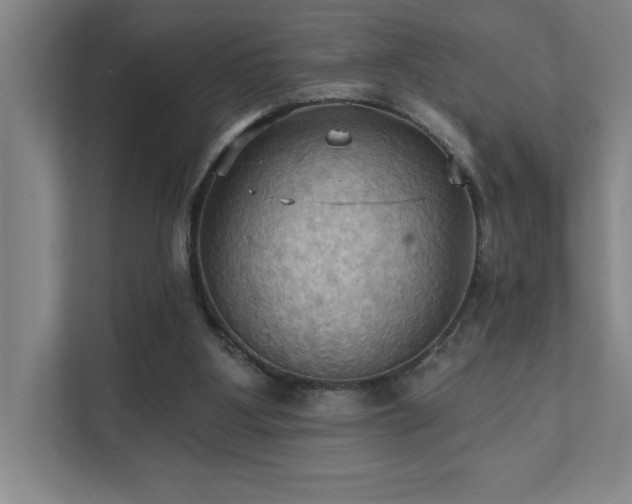 X0000111360107200907101238