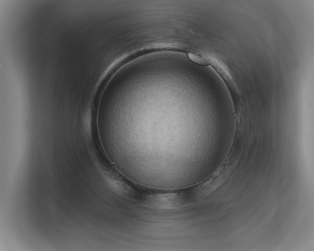 X0000111360108200907101238