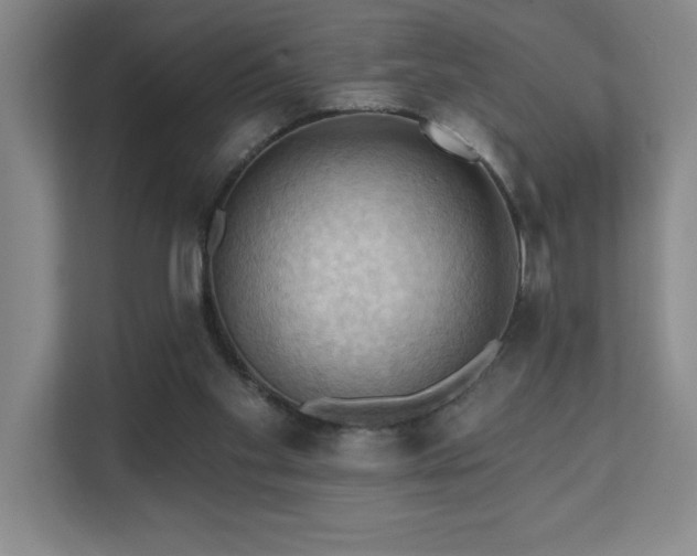 X0000111360109200907101238