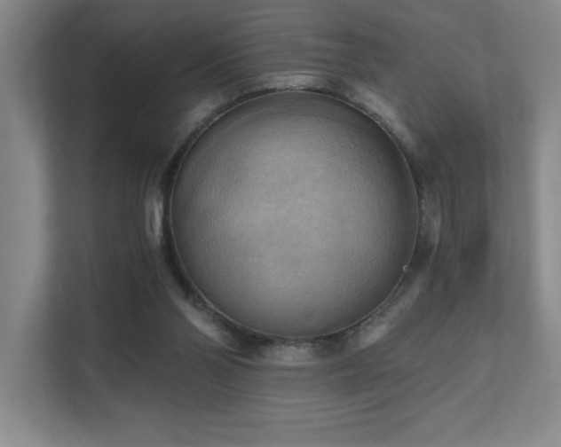 X0000111360110200907101238