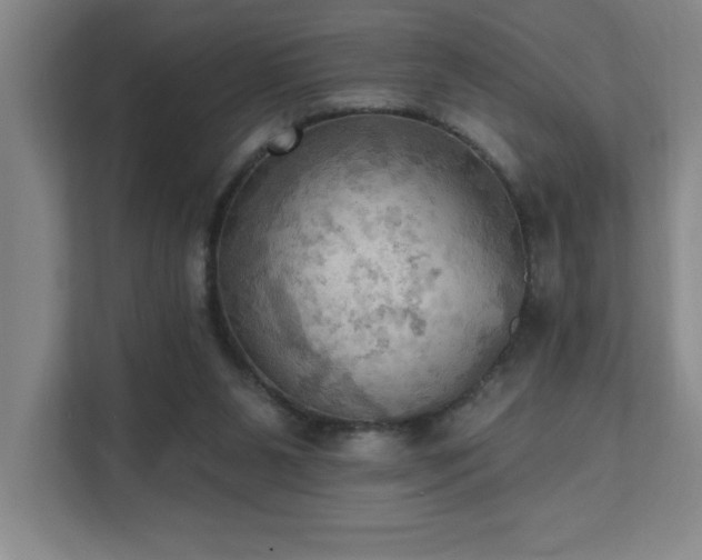 X0000111360111200907101238