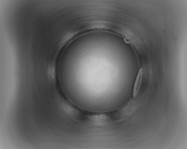 X0000111360112200907101238