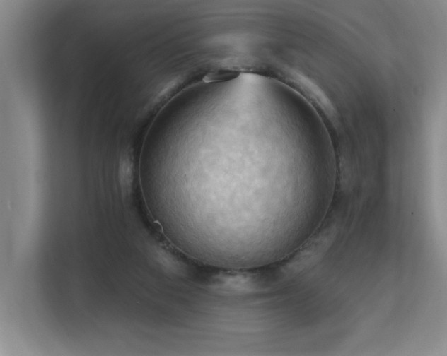 X0000111360113200907101238