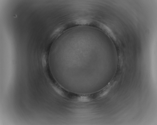 X0000111360114200907101238