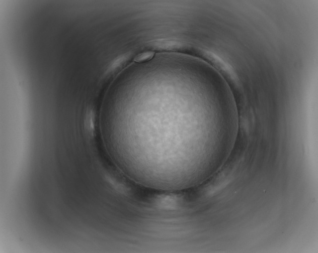 X0000111360115200907101238