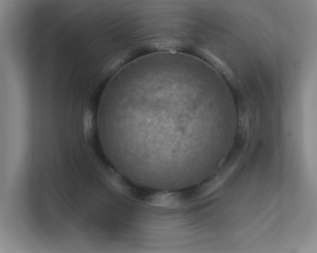 X0000111360117200907101238