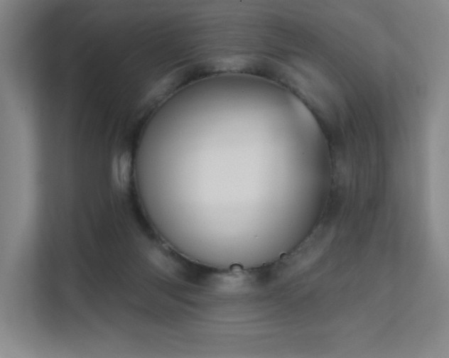 X0000111360118200907101238