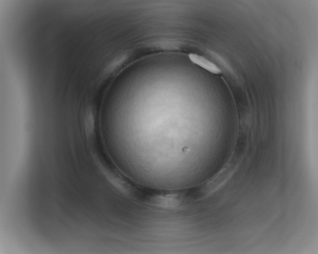 X0000111360120200907101238