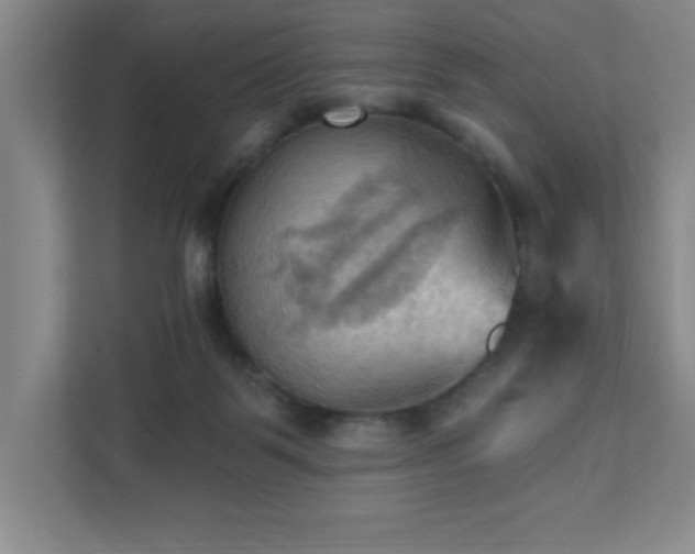 X0000111360123200907101238