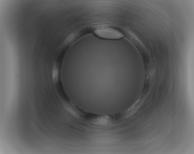 X0000111360124200907101238