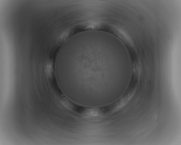 X0000111360127200907101238