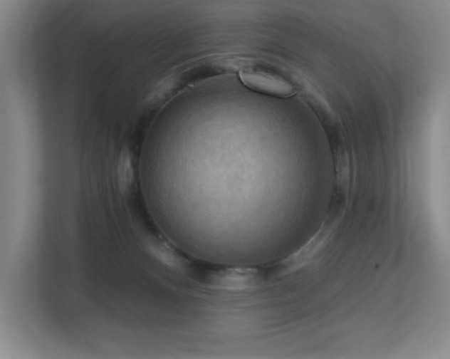 X0000111360128200907101238