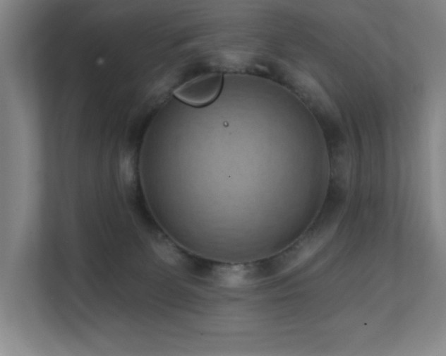 X0000111360131200907101238