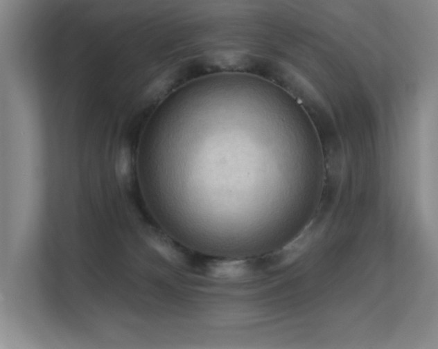X0000111360132200907101238