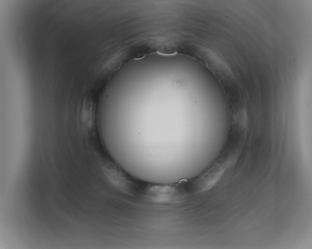 X0000111360133200907101238